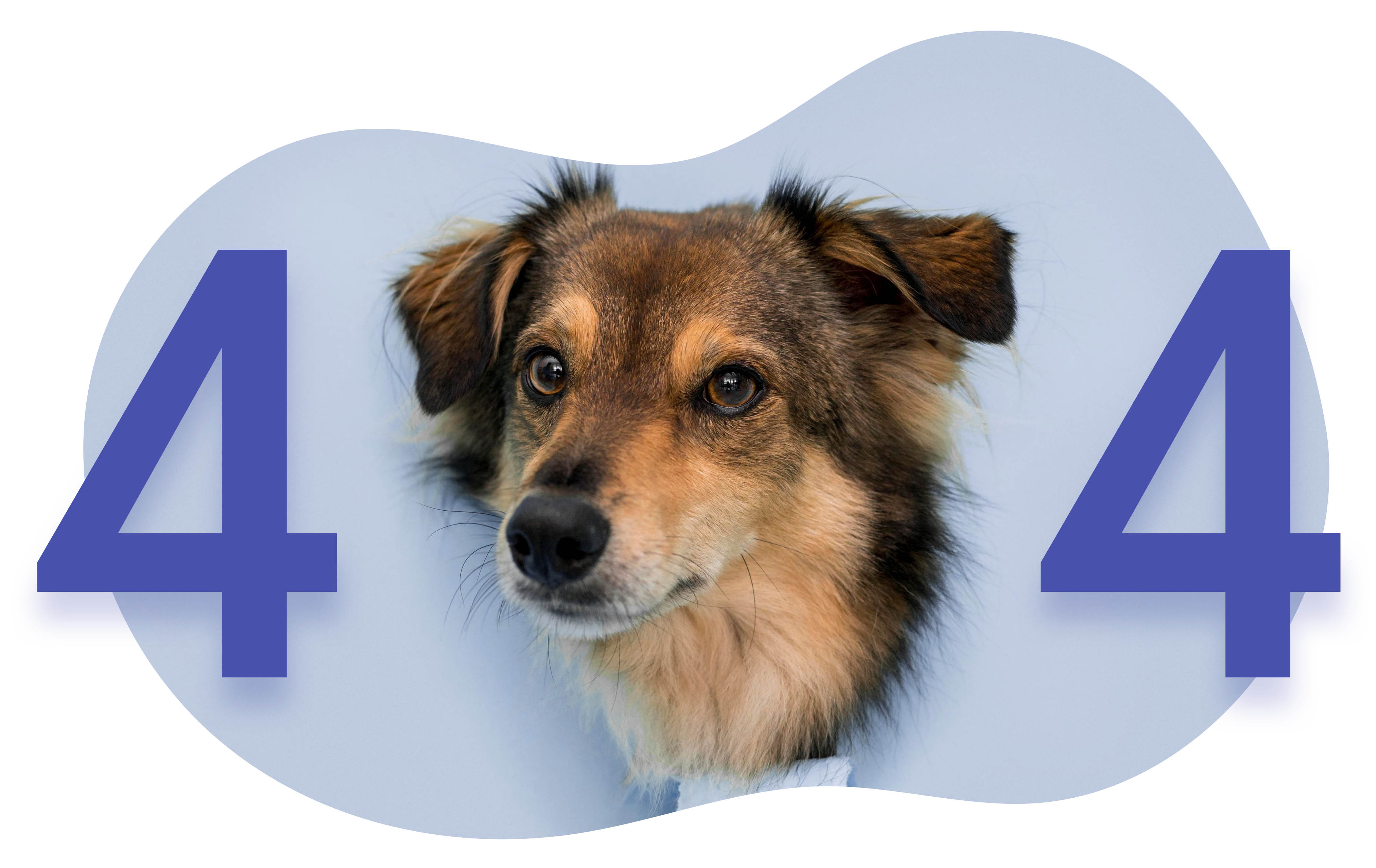 404 page not found - InsureMyK9 error page illustration